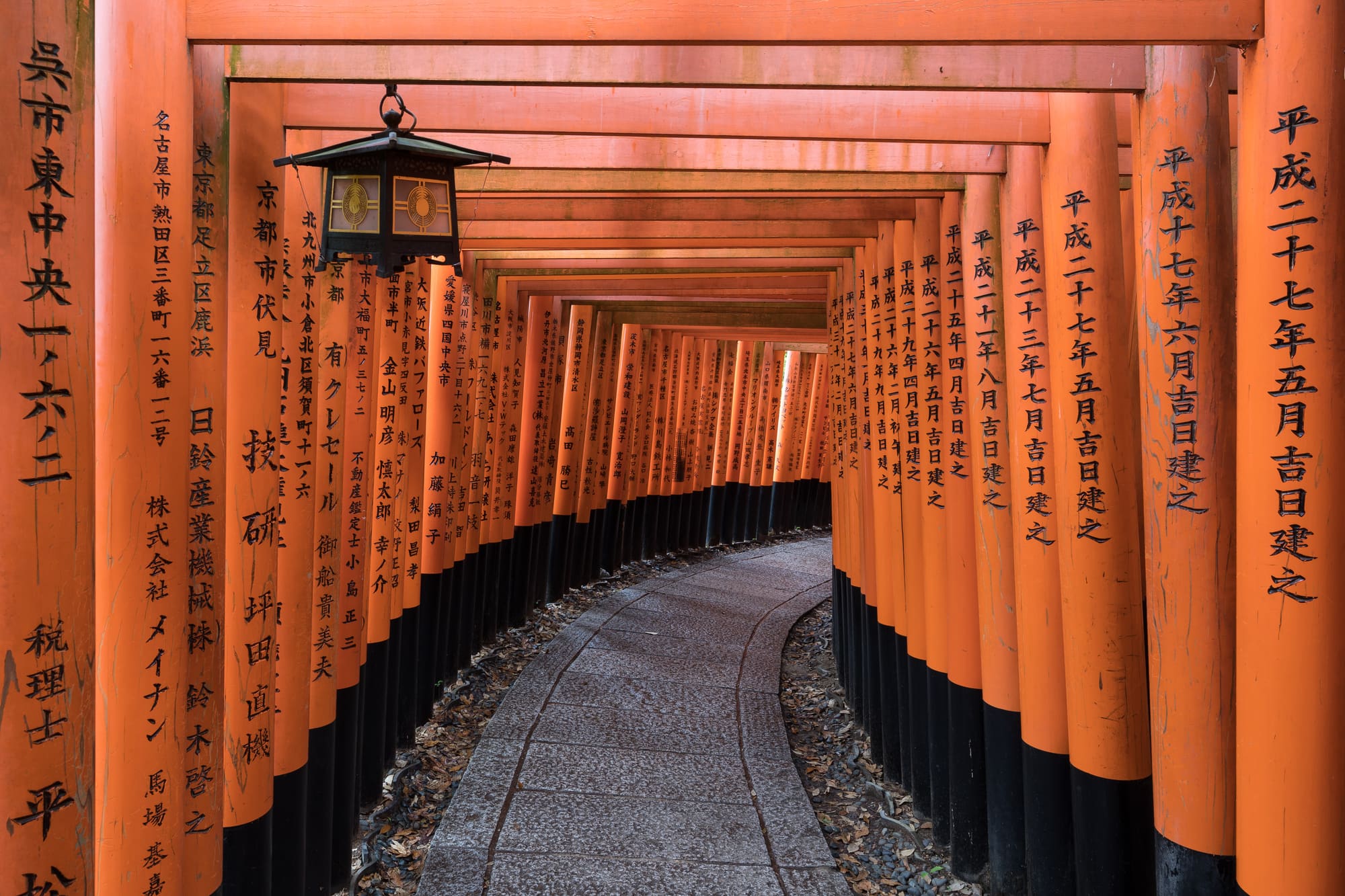 Torii path at Fushimi Inari Taisha, Kyoto. Photo: Basile Morin / CC BY-SA 4.0
